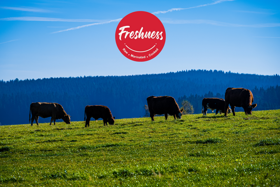 The Luscious Green Secret: Grass-Fed Beef and Its Endless Love Story